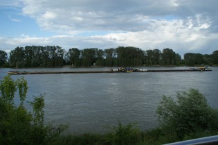 Rhein3
