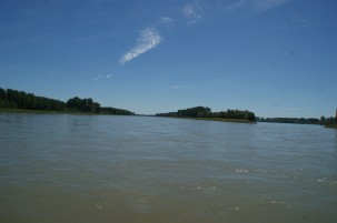 Rhein4