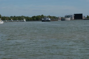 Rhein5